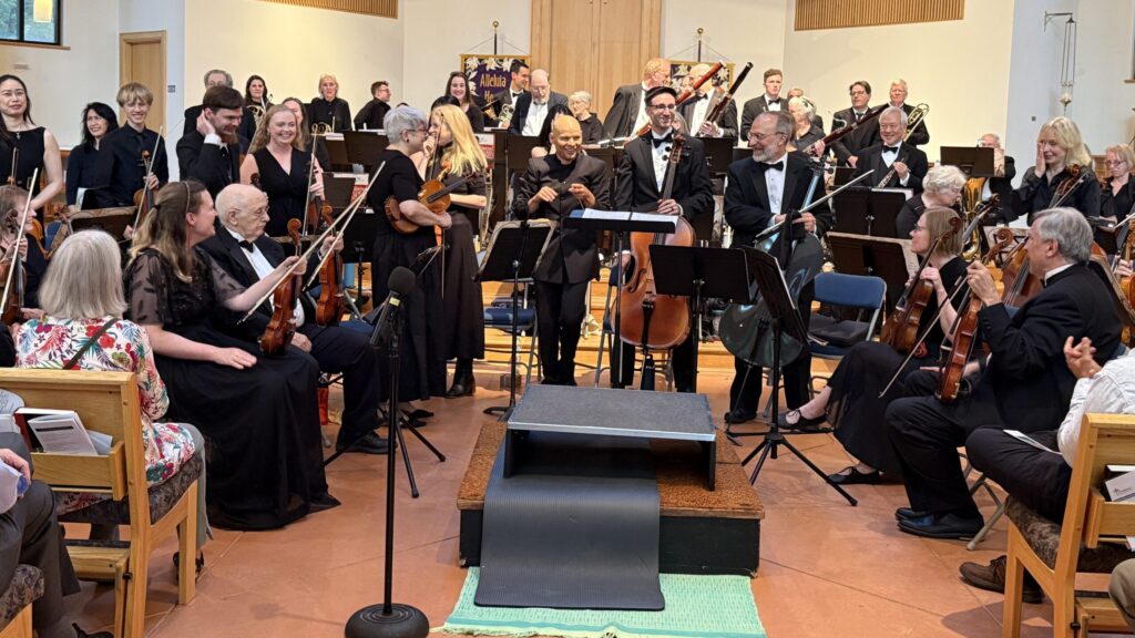 Reston Community Orchestra musicians performing