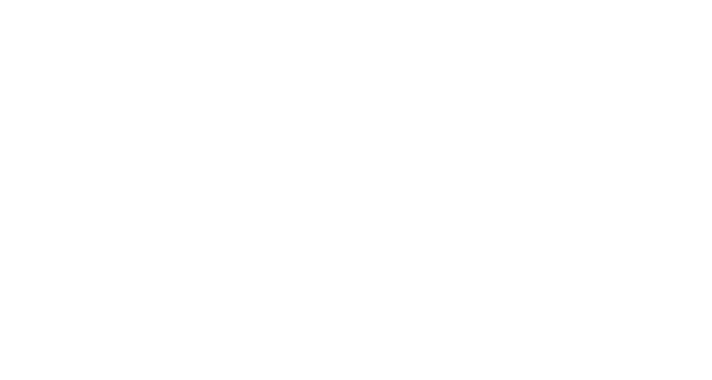Reston Community Orchestra